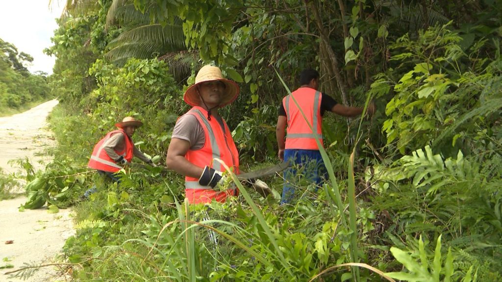 Indonesian labourers work on Noni farm