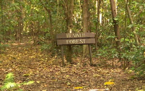 Huvalu forest conservation area to be formalized