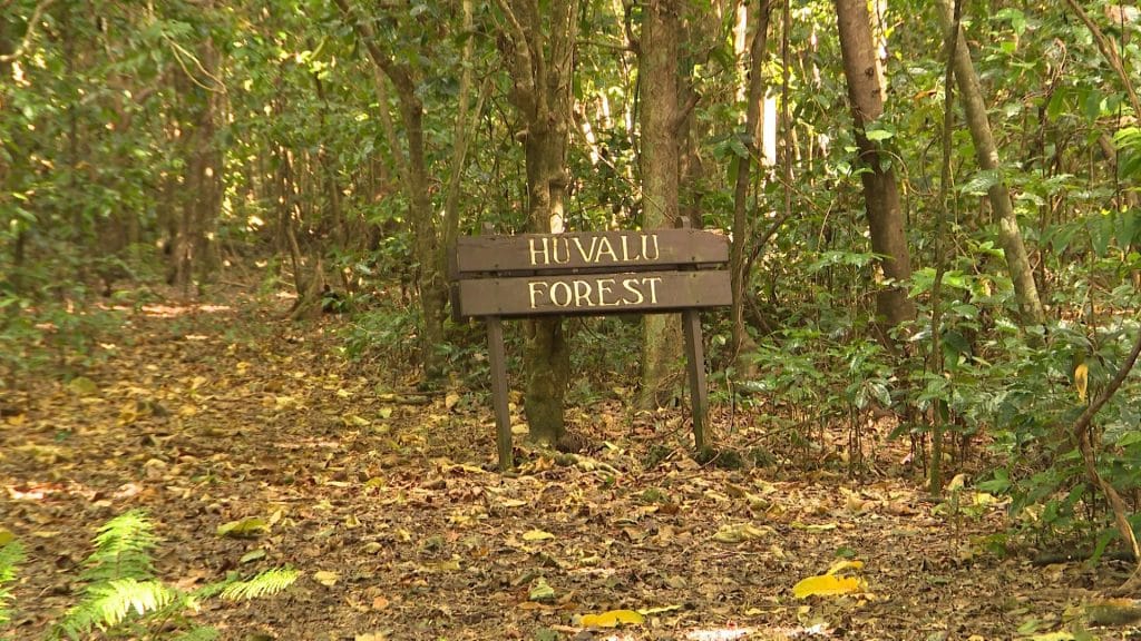 Huvalu forest conservation area to be formalized
