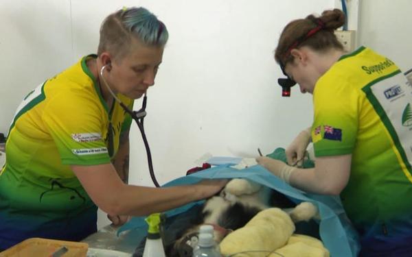 ROCK VETS to conduct free vet clinic in October
