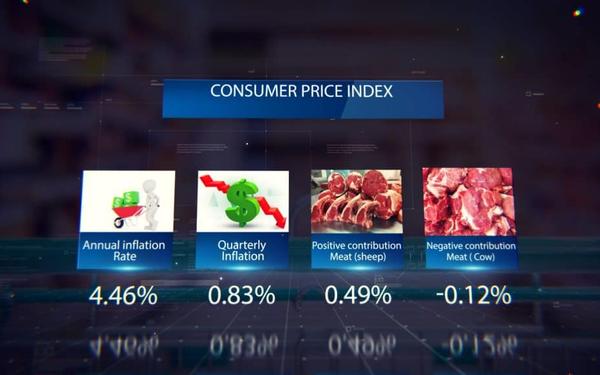 Annual inflation at 4.46 percent