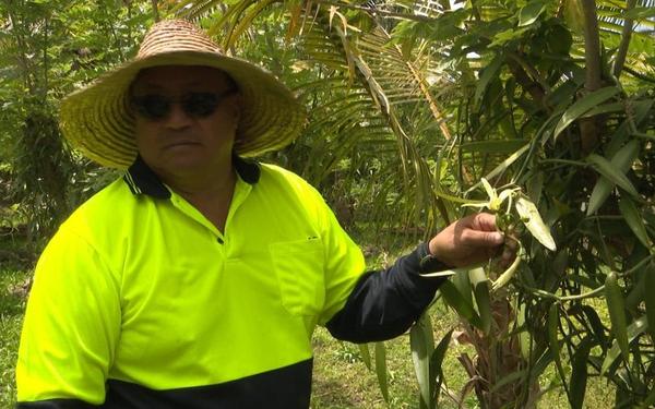 Niue Vanilla expands export markets, the latest is Russia