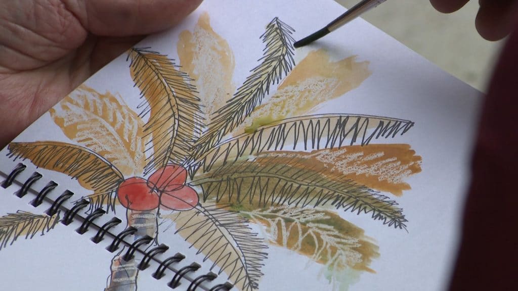 Travel sketching in Niue