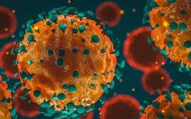Public Health Alert on Coronavirus issued