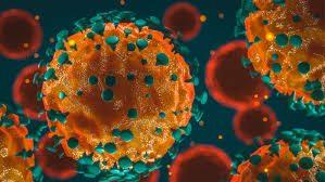 Public Health Alert on Coronavirus issued