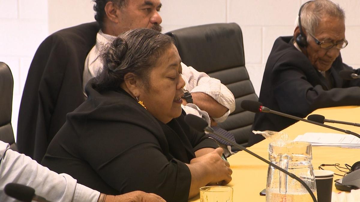 Joan Viliamu aims for a fourth term as a Common Roll member