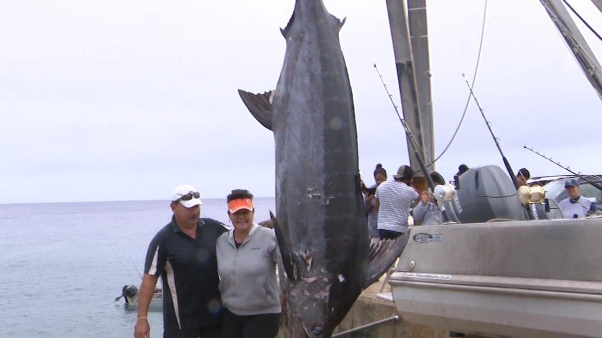 227.65 kg Black marlin caught off Namukulu