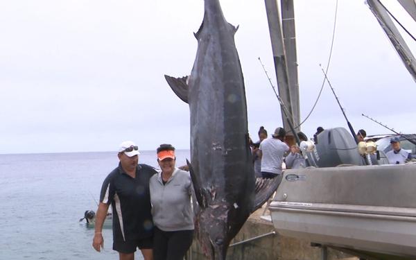 227.65 kg Black marlin caught off Namukulu
