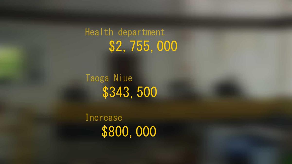 Budget allocations for Social services departments
