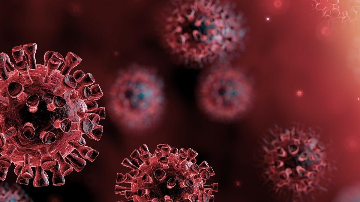 Are MIQ requirements proportionate to risk of infection or just lengthy detention to appease public opinion.