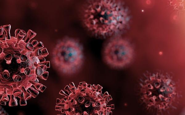 Are MIQ requirements proportionate to risk of infection or just lengthy detention to appease public opinion.