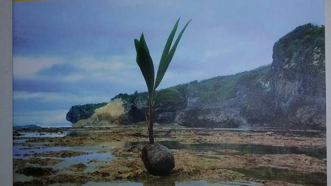 Niue’s State Of the Environment Report 2019 launched today