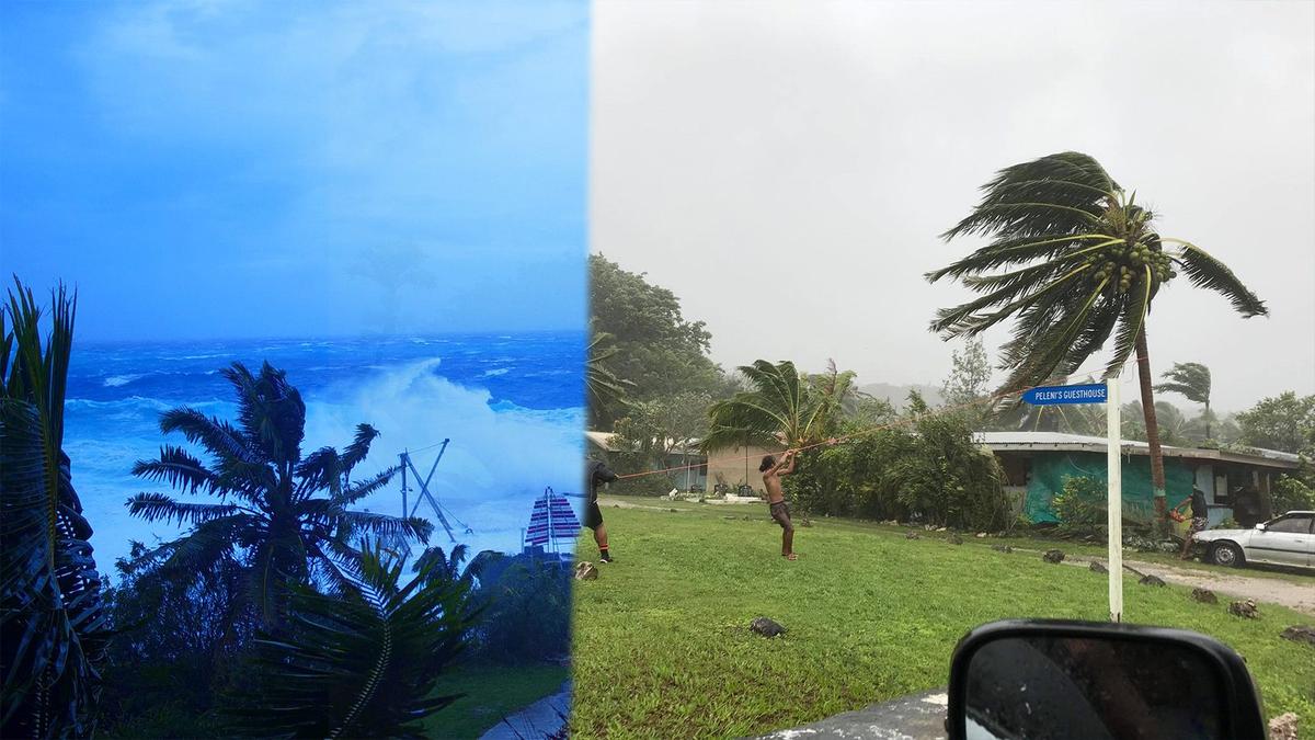 “Stay indoors, this is not the time to cut trees” Chief of Police caution the public