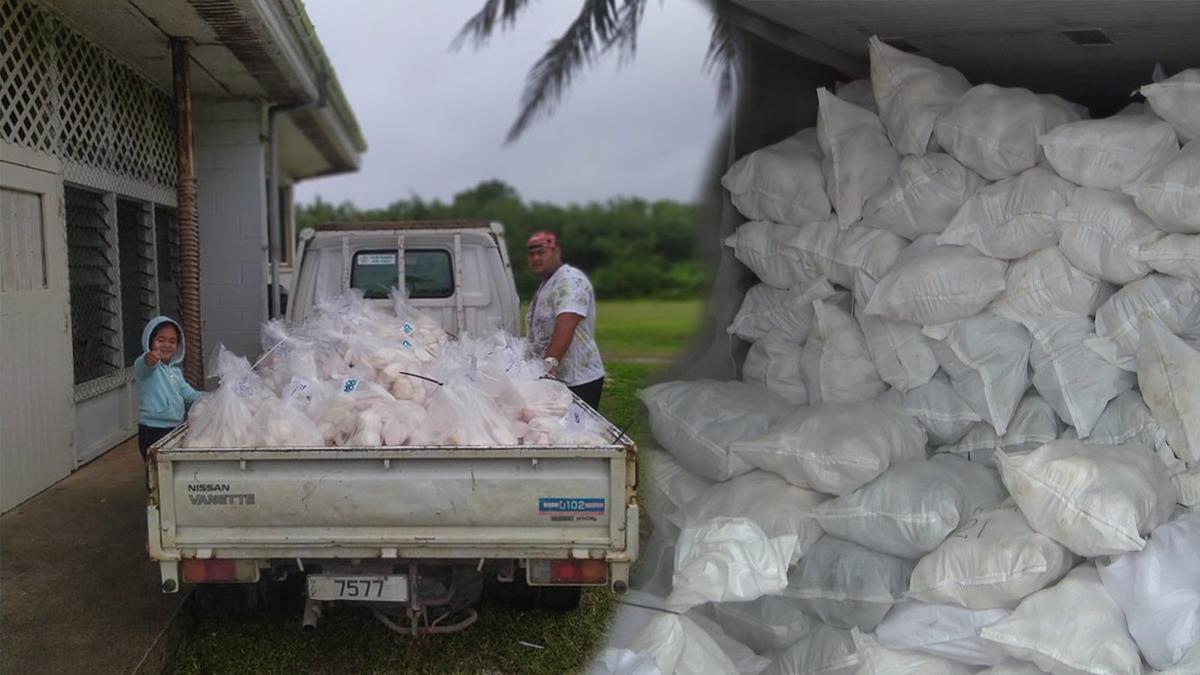 Niue talo exports to Australia and NZ will arrive in time for Christmas