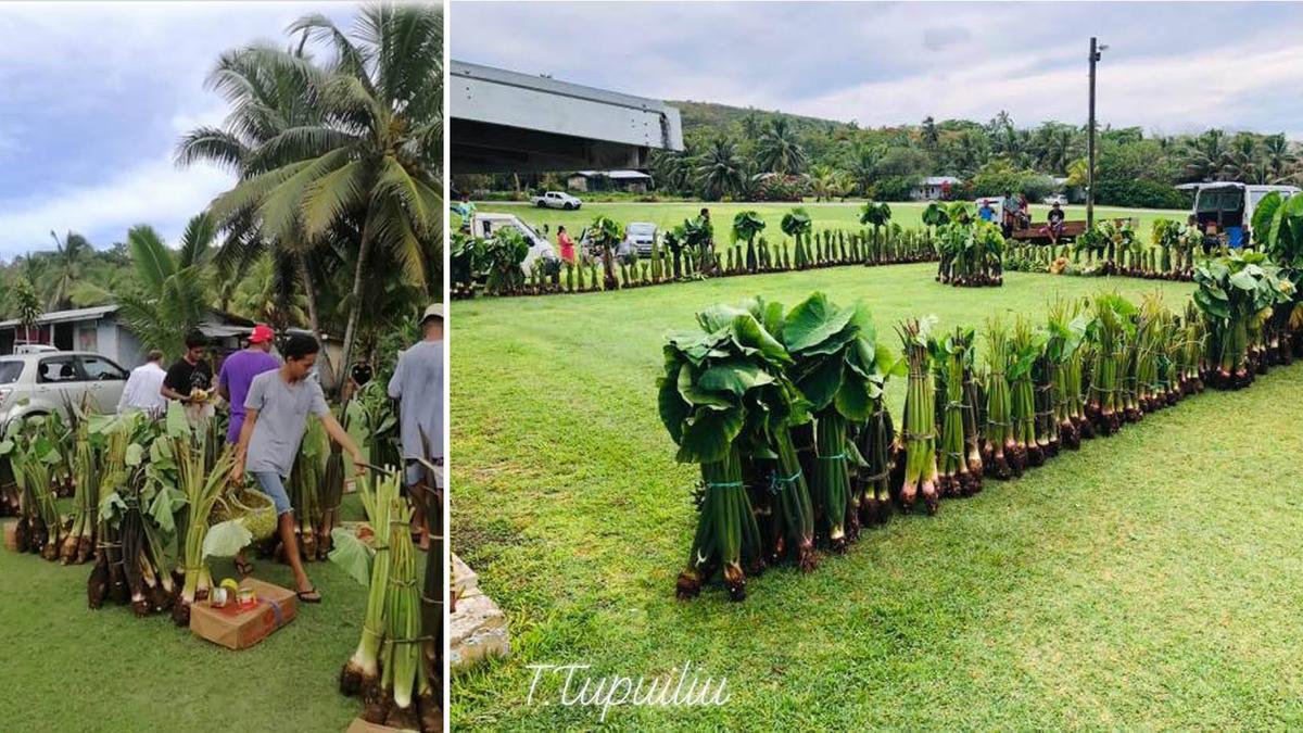 An abundance of food and traditions maintained at the village thanksgiving day, the Fakaaue Tau.