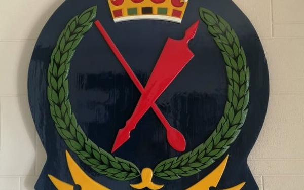 22 year old remanded in custody for stealing a Police patrol vehicle