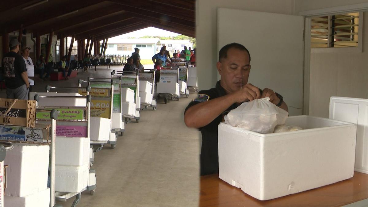 Exporter and government department at odds over private talo exports on Air New Zealand