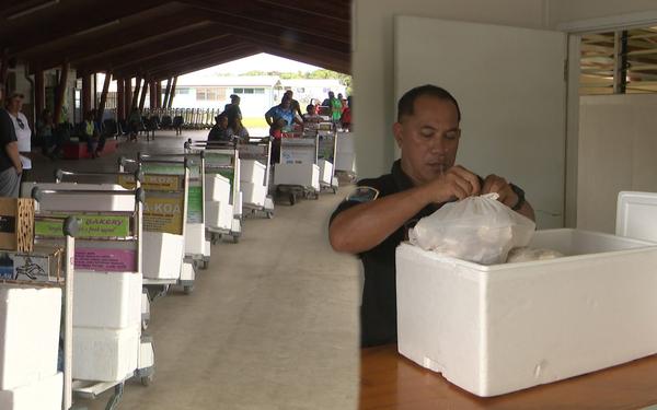 Exporter and government department at odds over private talo exports on Air New Zealand
