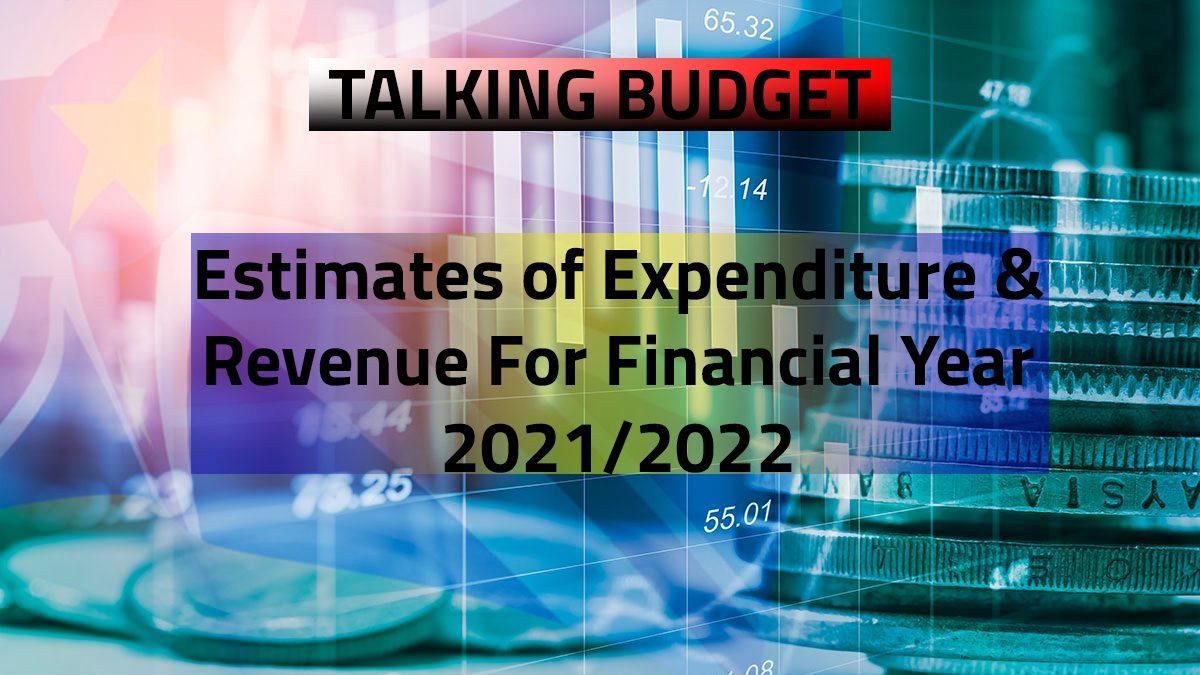 Talking Budget: Which ministry will spend the most and which will generate the most revenue in the new budget estimates