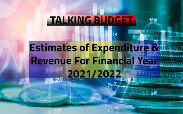Talking Budget: Which ministry will spend the most and which will generate the most revenue in the new budget estimates
