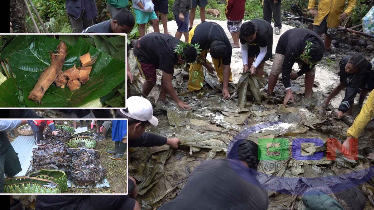 Hakupu elders teach their youth the making of the umu ti
