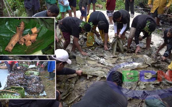 Hakupu elders teach their youth the making of the umu ti