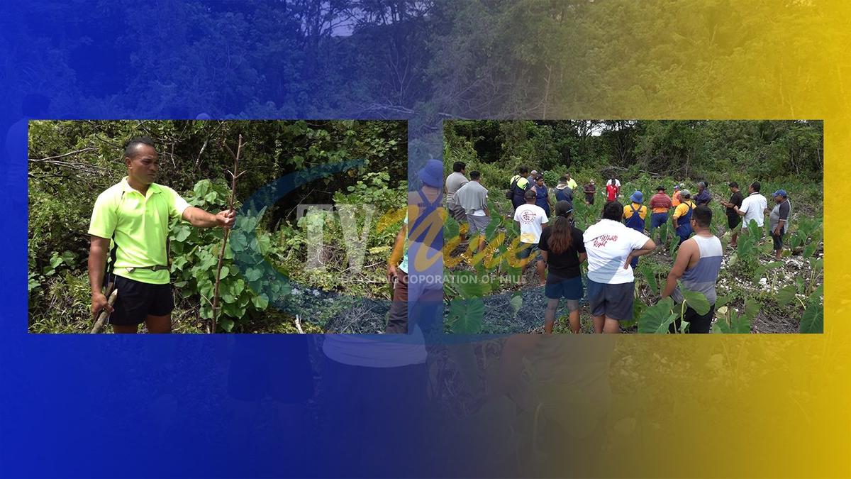 Pig hunters collaborate with government departments to tackle the feral pig problem