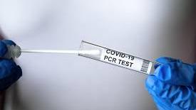 No new cases in MIQ after day 3 tests today