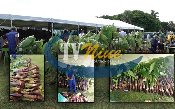 Successful Inaugural Niue Taro Festival; a first of its kind