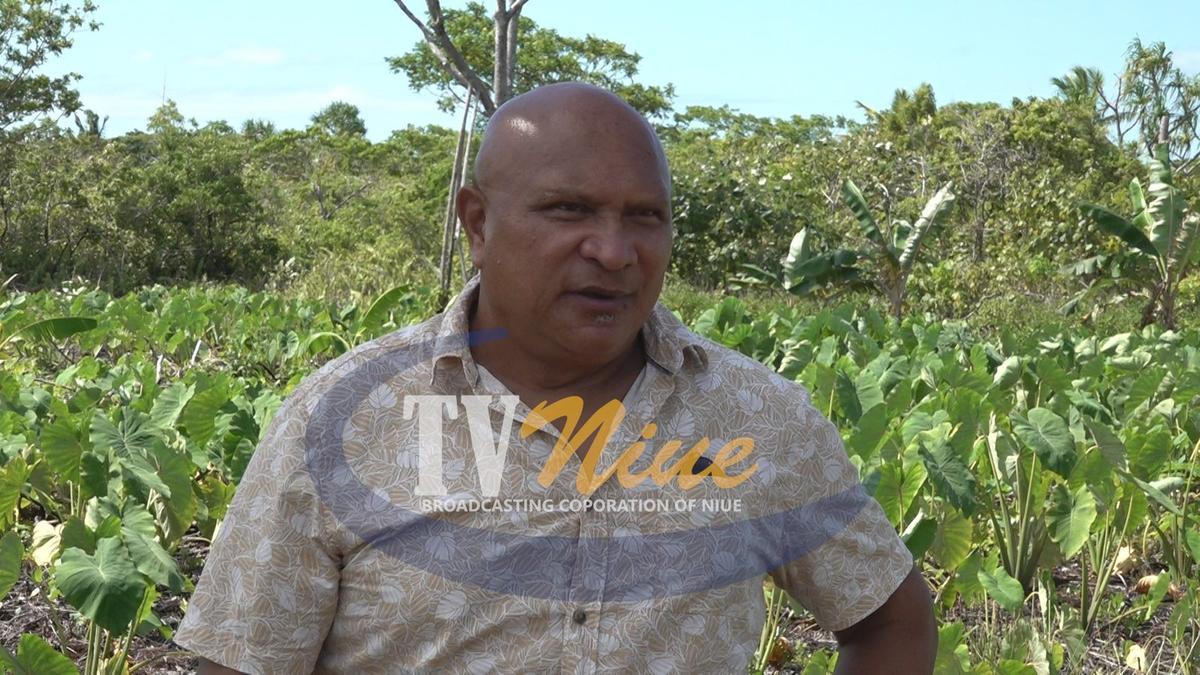 Talo exporter struggle to pay growers, take full responsibility vowing ‘however long all growers will be paid”.