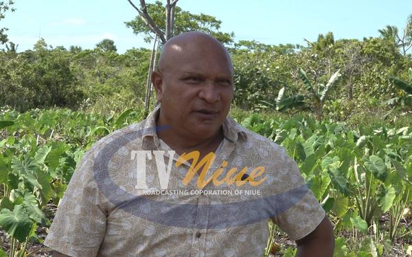 Talo exporter struggle to pay growers, take full responsibility vowing ‘however long all growers will be paid”.