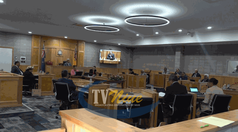 Questions raised over call for public submissions on the amendments to the constitution