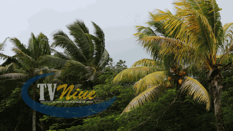 Niue MET predicts more severe cyclones expected in the next cyclone season
