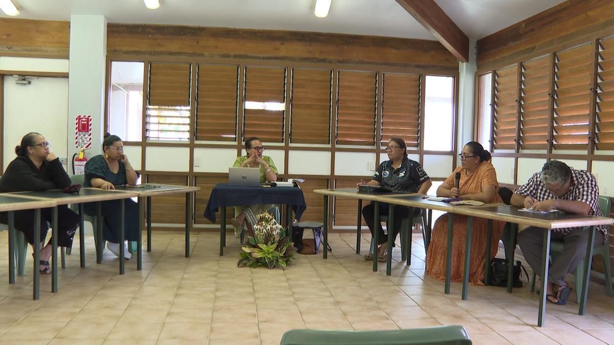 USP Alumni discussions on Constitution and 50 years of Self-Government