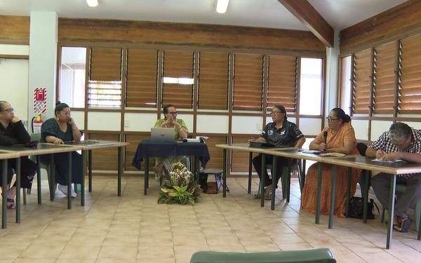 USP Alumni discussions on Constitution and 50 years of Self-Government