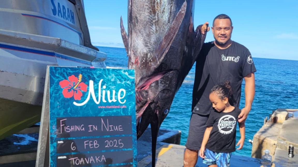 Huge 312.2kg blue marlin caught off the Alofi coast this morning