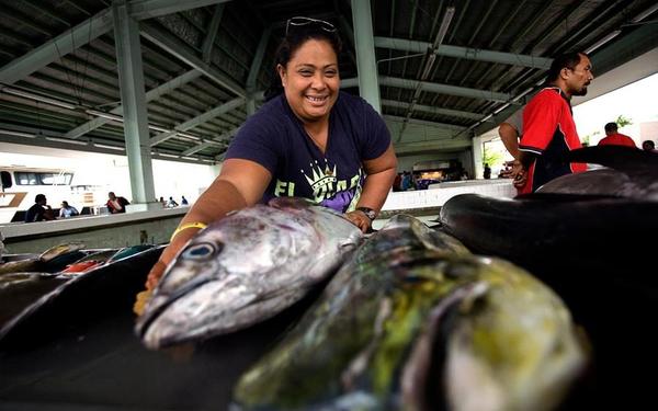 Landmark funding to protect benefits of tuna against climate change