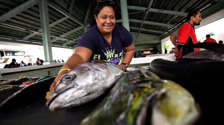 Landmark funding to protect benefits of tuna against climate change