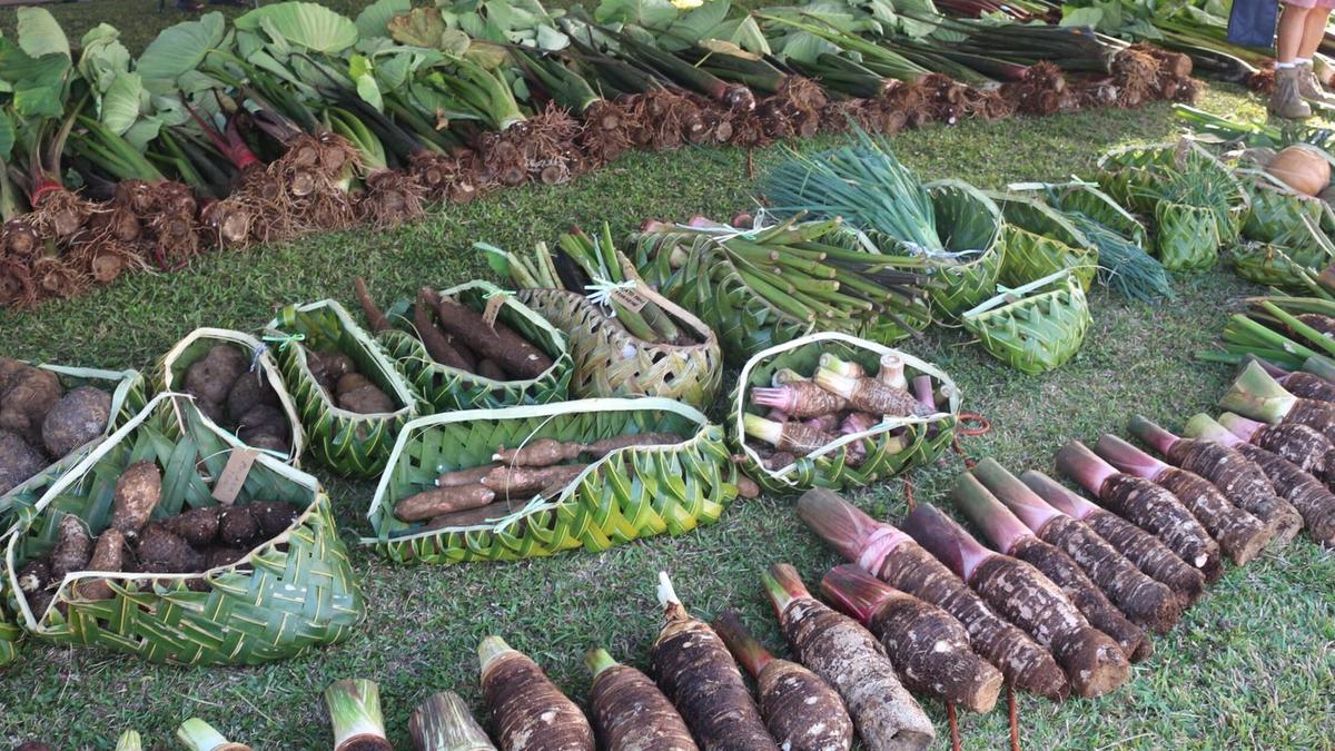 Landmark initiative to support agriculture sector