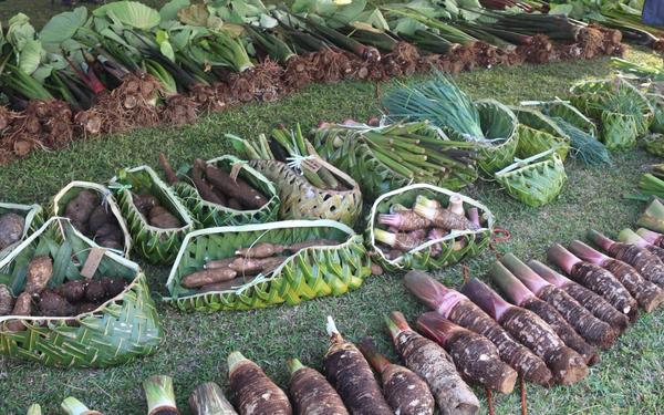 Landmark initiative to support agriculture sector